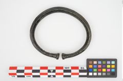 Foto von Bronzearmreif (NHMW-PRAE-026226)